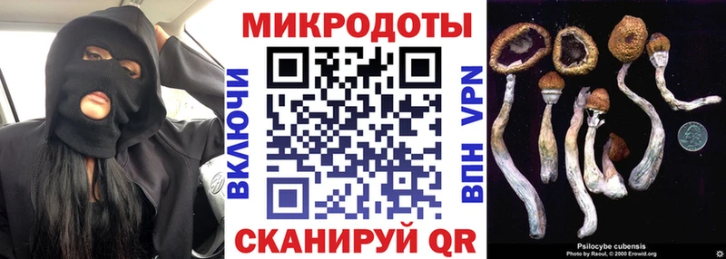 Псилоцибиновые грибы GOLDEN TEACHER  Пионерский 